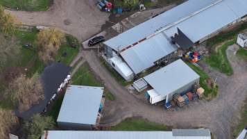 Captured at Summerland Poultry, North Kellyville NSW Australia.