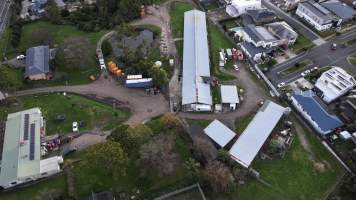 Captured at Summerland Poultry, North Kellyville NSW Australia.