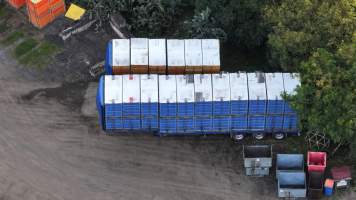 Captured at Summerland Poultry, North Kellyville NSW Australia.