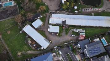 Captured at Summerland Poultry, North Kellyville NSW Australia.