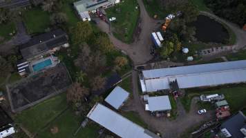 Captured at Summerland Poultry, North Kellyville NSW Australia.