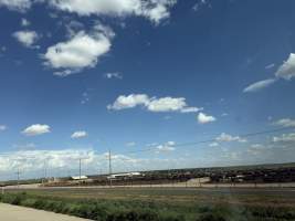 Captured at QUALITY BEEF PRODUCERS, Wildorado TX United States.
