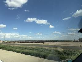 Captured at QUALITY BEEF PRODUCERS, Wildorado TX United States.