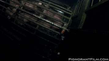 Pilgrim Pride's Gas Chamber - Captured at Pilgrim's Pride Ashton, Dukinfield England United Kingdom.