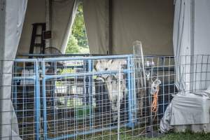 New Jersey State Fair 2026 - Captured at Sussex County Fairgrounds, Frankford NJ United States.