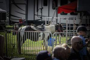 New Jersey State Fair 2026 - Captured at Sussex County Fairgrounds, Frankford NJ United States.