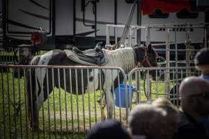 New Jersey State Fair 2026 - Captured at Sussex County Fairgrounds, Frankford NJ United States.