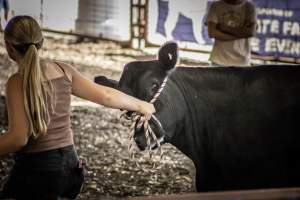 New Jersey State Fair 2026 - Captured at Sussex County Fairgrounds, Frankford NJ United States.