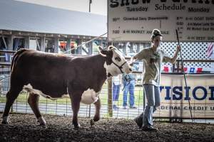 New Jersey State Fair 2026 - Captured at Sussex County Fairgrounds, Frankford NJ United States.
