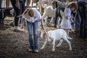 New Jersey State Fair 2026 - Captured at Sussex County Fairgrounds, Frankford NJ United States.
