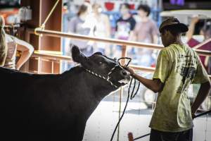New Jersey State Fair 2026 - Captured at Sussex County Fairgrounds, Frankford NJ United States.