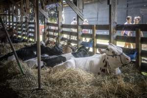 New Jersey State Fair 2026 - Captured at Sussex County Fairgrounds, Frankford NJ United States.