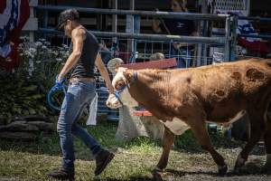 New Jersey State Fair 2026 - Captured at Sussex County Fairgrounds, Frankford NJ United States.