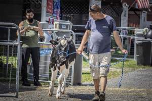 New Jersey State Fair 2026 - Captured at Sussex County Fairgrounds, Frankford NJ United States.