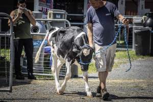 New Jersey State Fair 2026 - Captured at Sussex County Fairgrounds, Frankford NJ United States.