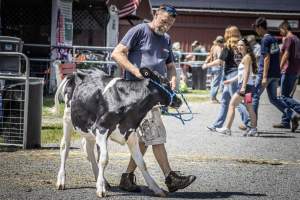 New Jersey State Fair 2026 - Captured at Sussex County Fairgrounds, Frankford NJ United States.