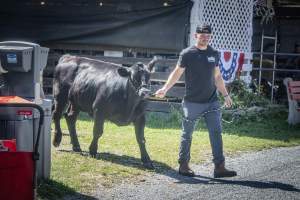 New Jersey State Fair 2026 - Captured at Sussex County Fairgrounds, Frankford NJ United States.