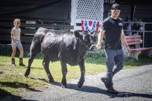 New Jersey State Fair 2026 - Captured at Sussex County Fairgrounds, Frankford NJ United States.