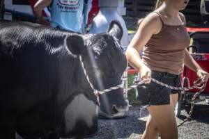 New Jersey State Fair 2026 - Captured at Sussex County Fairgrounds, Frankford NJ United States.
