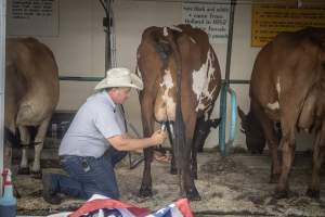 New Jersey State Fair 2026 - Captured at Sussex County Fairgrounds, Frankford NJ United States.