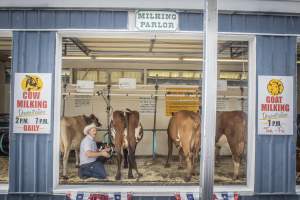 New Jersey State Fair 2026 - Captured at Sussex County Fairgrounds, Frankford NJ United States.