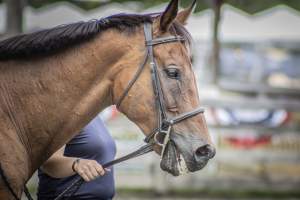 New Jersey State Fair 2026 - Captured at Sussex County Fairgrounds, Frankford NJ United States.