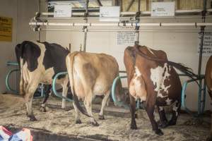 New Jersey State Fair 2026 - Captured at Sussex County Fairgrounds, Frankford NJ United States.
