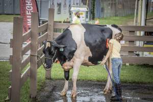 New Jersey State Fair 2026 - Captured at Sussex County Fairgrounds, Frankford NJ United States.