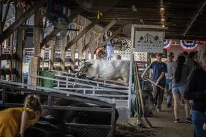 New Jersey State Fair 2026 - Captured at Sussex County Fairgrounds, Frankford NJ United States.