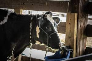 New Jersey State Fair 2026 - Captured at Sussex County Fairgrounds, Frankford NJ United States.