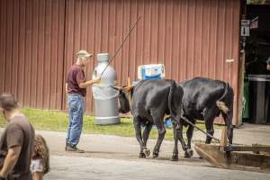 New Jersey State Fair 2026 - Captured at Sussex County Fairgrounds, Frankford NJ United States.