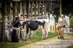 New Jersey State Fair 2026 - Captured at Sussex County Fairgrounds, Frankford NJ United States.