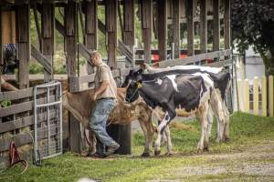 New Jersey State Fair 2026 - Captured at Sussex County Fairgrounds, Frankford NJ United States.