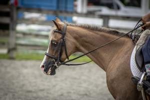 New Jersey State Fair 2026 - Captured at Sussex County Fairgrounds, Frankford NJ United States.