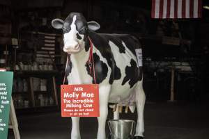 New Jersey State Fair 2026 - Captured at Sussex County Fairgrounds, Frankford NJ United States.