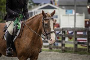 New Jersey State Fair 2026 - Captured at Sussex County Fairgrounds, Frankford NJ United States.