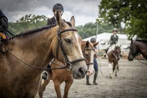 New Jersey State Fair 2026 - Captured at Sussex County Fairgrounds, Frankford NJ United States.
