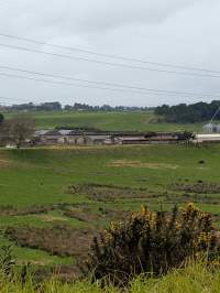 Drive by photos - Captured at Paerata Piggery, Pukekohe Auckland New Zealand.