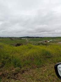 Drive by photos - Captured at Paerata Piggery, Pukekohe Auckland New Zealand.