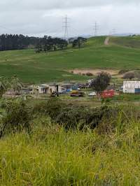 Drive by photos - Captured at Paerata Piggery, Pukekohe Auckland New Zealand.