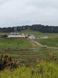 Drive by photos - Captured at Paerata Piggery, Pukekohe Auckland New Zealand.