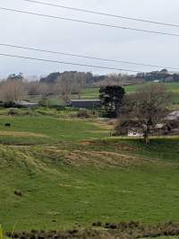 Drive by photos - Captured at Paerata Piggery, Pukekohe Auckland New Zealand.