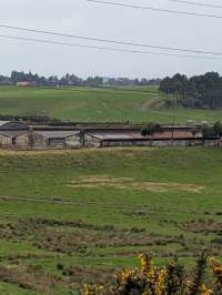 Drive by photos - Captured at Paerata Piggery, Pukekohe Auckland New Zealand.