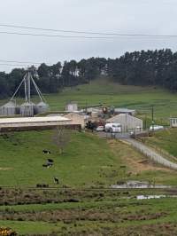 Drive by photos - Captured at Paerata Piggery, Pukekohe Auckland New Zealand.