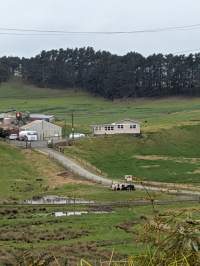 Drive by photos - Captured at Paerata Piggery, Pukekohe Auckland New Zealand.
