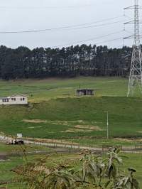 Drive by photos - Captured at Paerata Piggery, Pukekohe Auckland New Zealand.