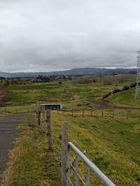 Captured at Fonterra Dairy 71302, Runciman Auckland New Zealand.