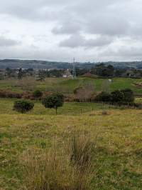 Captured at Fonterra Dairy 71302, Runciman Auckland New Zealand.
