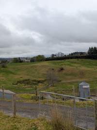 Captured at Fonterra Dairy 71302, Runciman Auckland New Zealand.