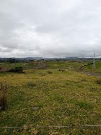 Captured at Fonterra Dairy 71302, Runciman Auckland New Zealand.